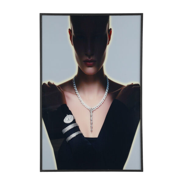 BH03 wall art light with acrylic jewelry portrait, LEDs off