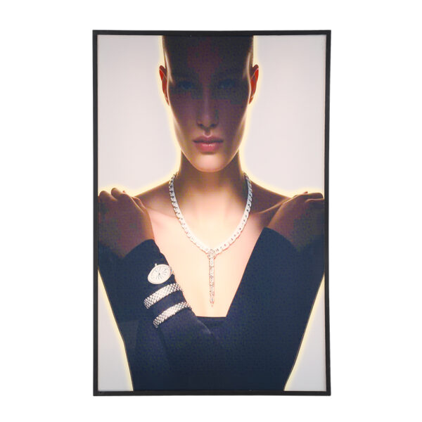 BH03 wall art light with glowing jewelry portrait and acrylic panel
